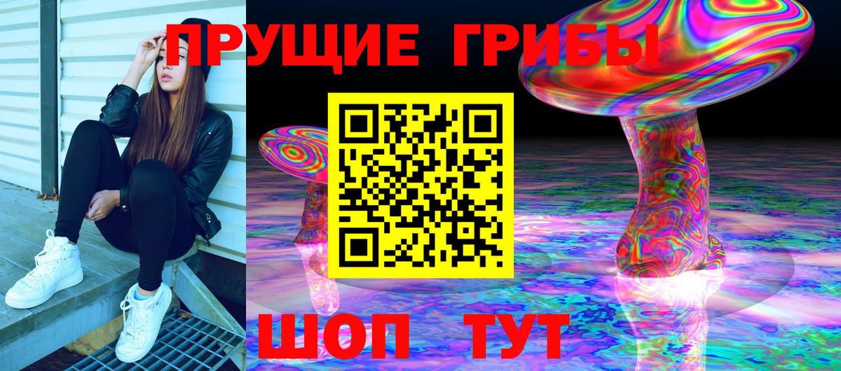 Псилоцибиновые грибы Cubensis Унеча