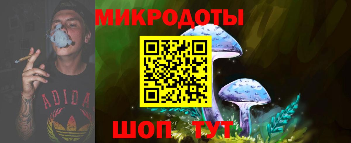 Унеча  Псилоцибиновые грибы Psilocybine cubensis  Вход с VPN 